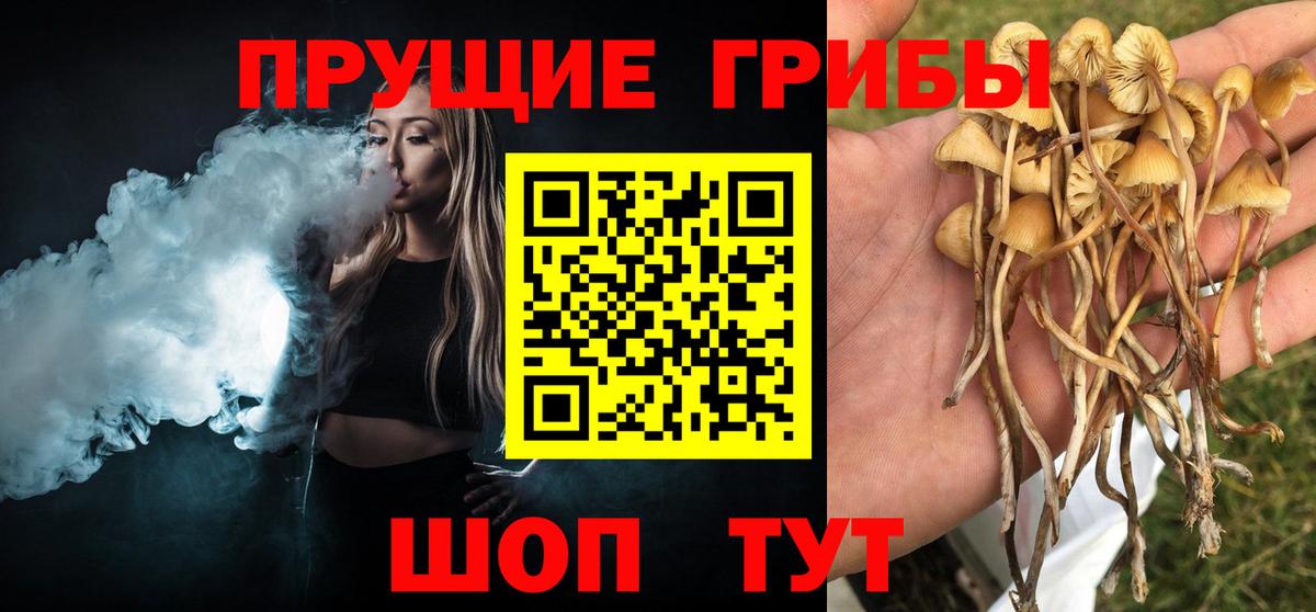 Псилоцибиновые грибы Psilocybe  Галлюциногенные грибы MAGIC MUSHROOMS  Воскресенск  Вход с VPN 